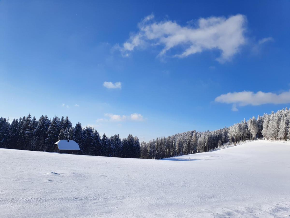 Ferienhaus-Schoenwald Im Herzen Des Schwarzwaldes 2-Zimmer-Maisonette-Wohnung Mit Balkon App 12 Екстер'єр фото